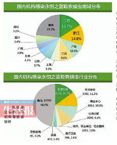 我市网络安全态势平稳，网络与信息安全软件筑牢防线